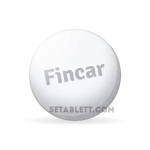 Membeli_Fincar_dalam_talian