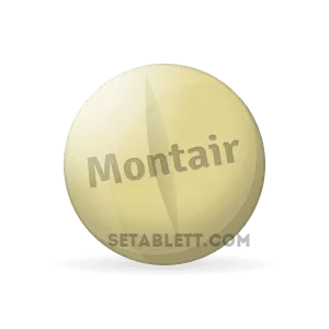 Membeli_Montair_dalam_talian